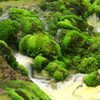 温泉水大好き　その１