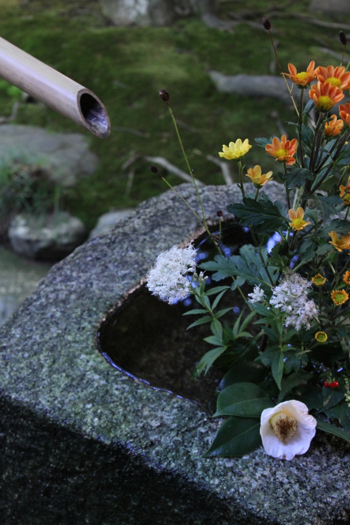 茶庭を飾る　その１