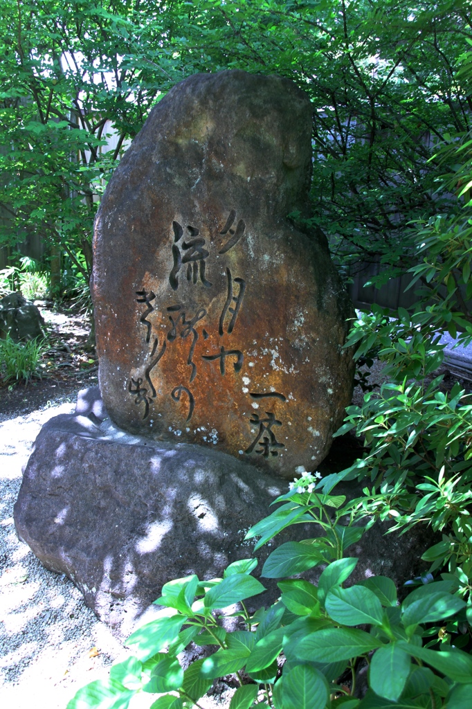 一茶双樹記念館　句碑