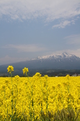鳥海山麓その２