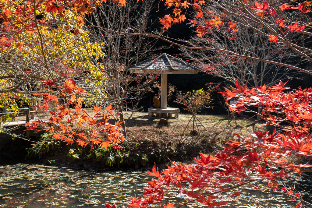 小松寺　その４