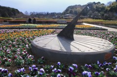 くつろぎの時