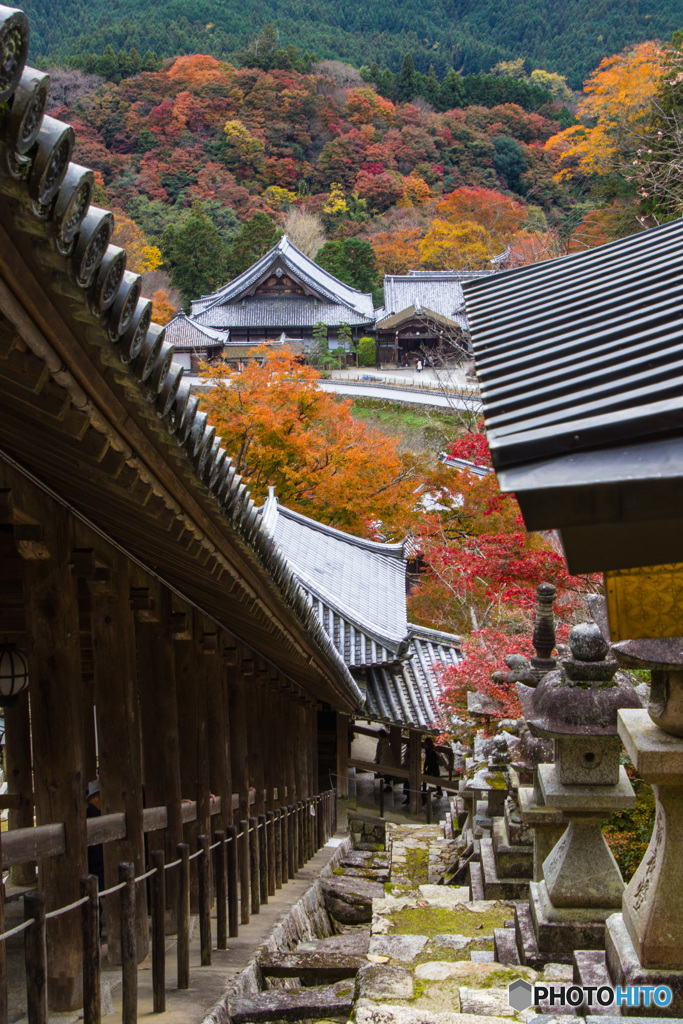 長谷寺　その１