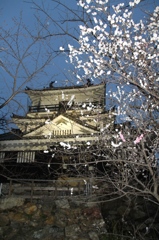 家康を偲ぶ