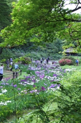 新緑に囲まれて