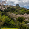 館山城公園　その１