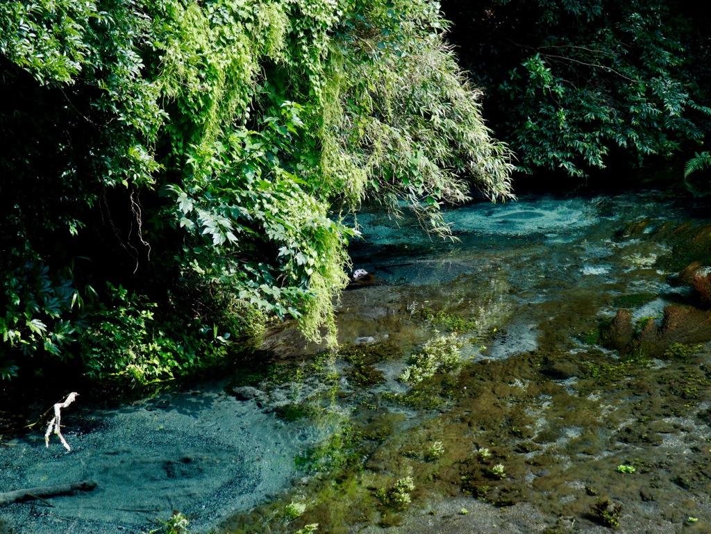 湧水