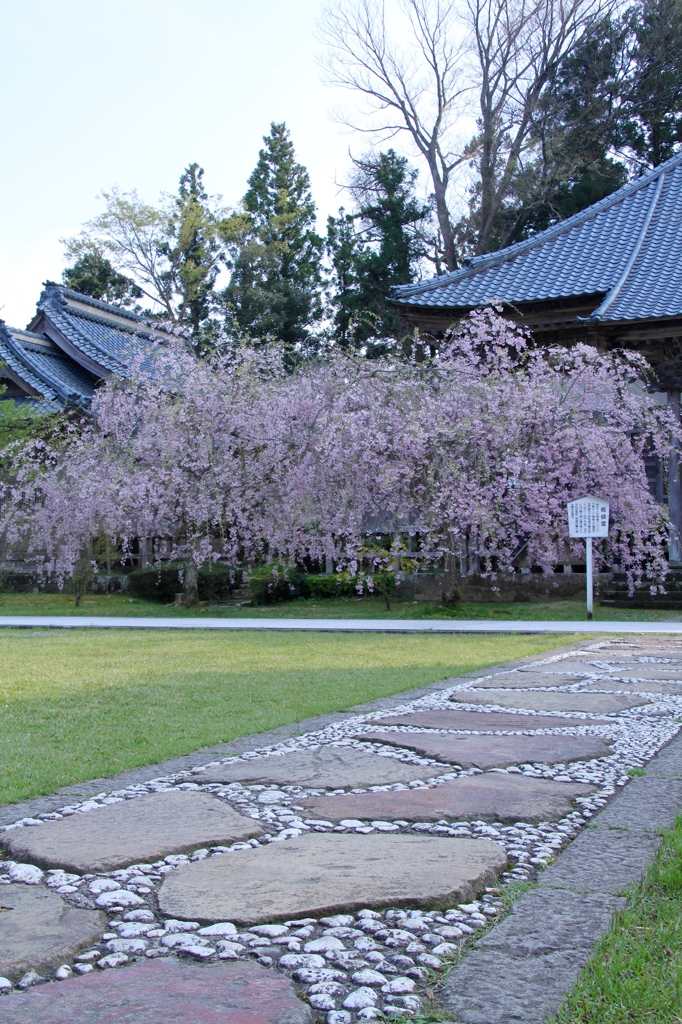 妙宣寺　その１