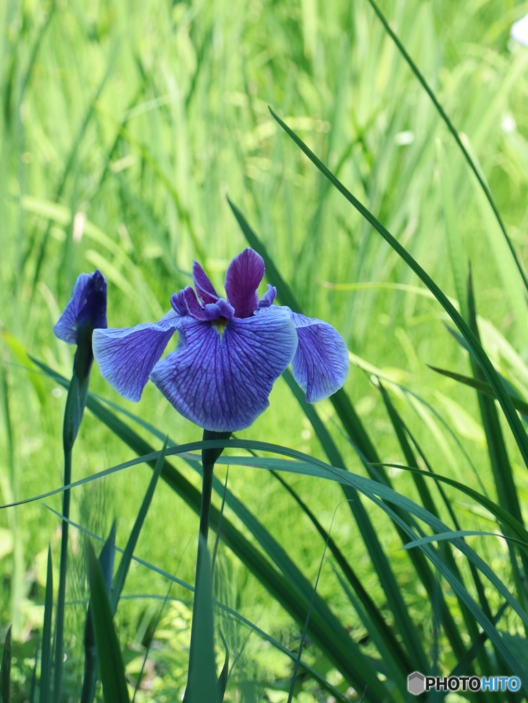 日陰で