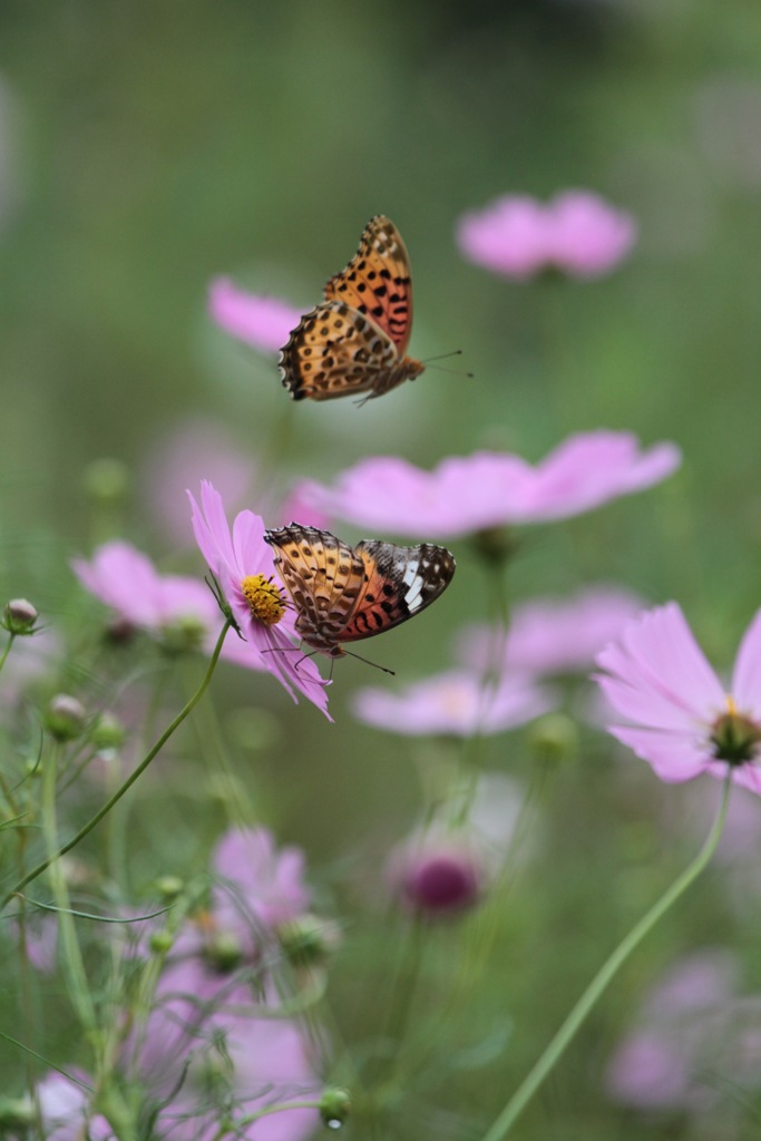 嵐を前に　その４