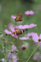 嵐を前に　その４