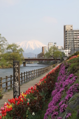 北上川から岩手山を望む