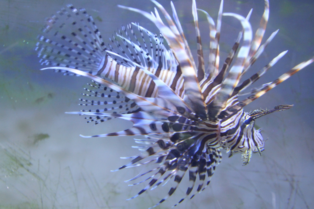 先ずはデフェンス　Ｎｏ．２