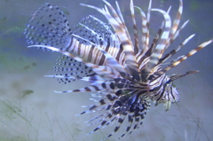 先ずはデフェンス　Ｎｏ．２