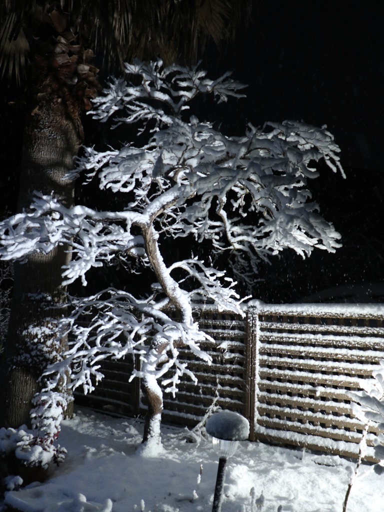 我が家のライトアップ