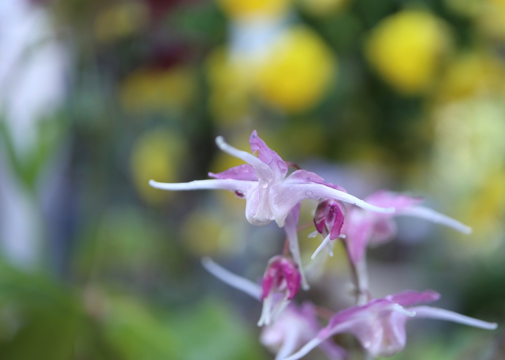 旅立ち　その２