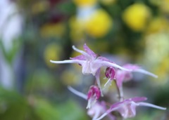 旅立ち　その２