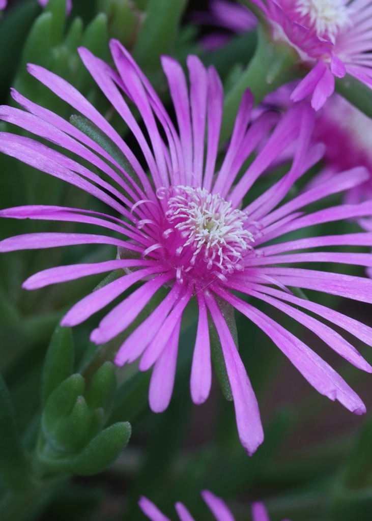 太陽に向かって