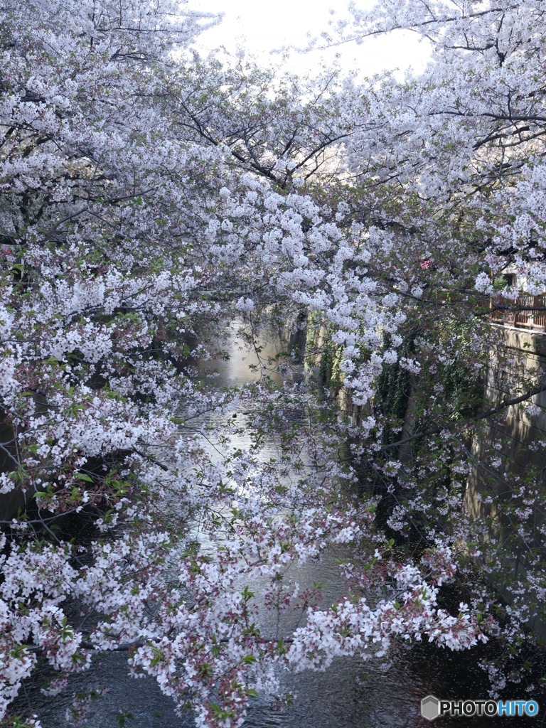 話題のスポット　その２