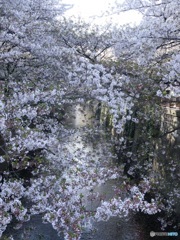 話題のスポット　その２