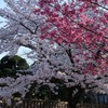 競う