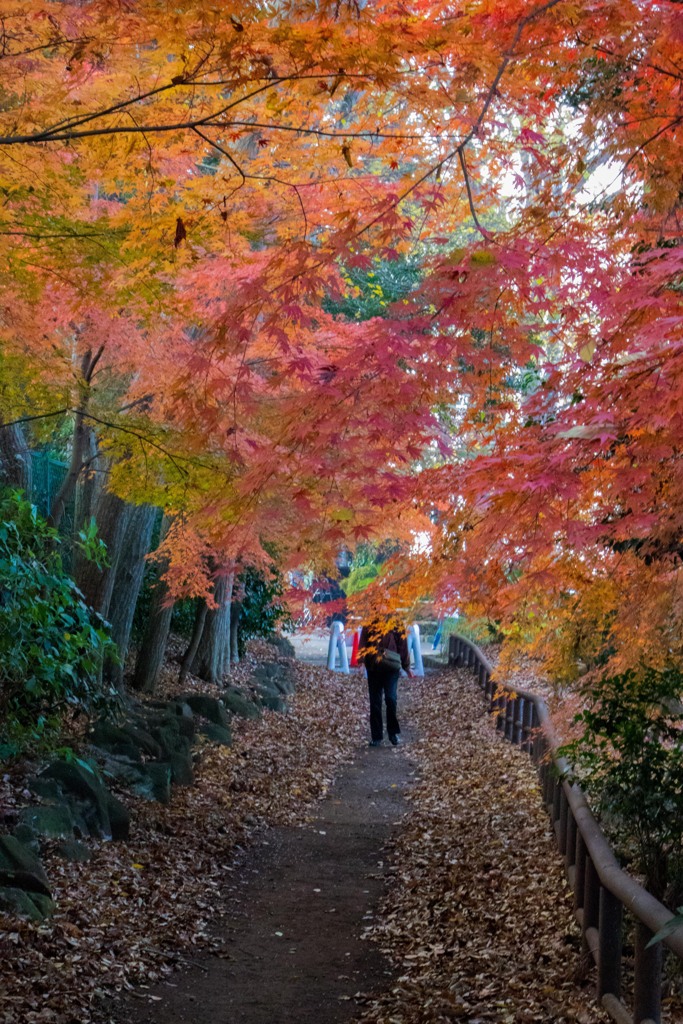 最後を飾る　その５