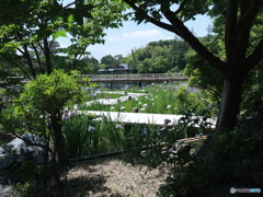 日本庭園　その３