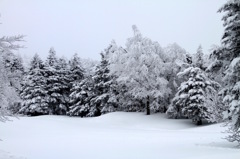 モノクロの世界　その２