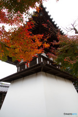 袴腰