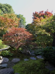 観智院　茶室からの眺め