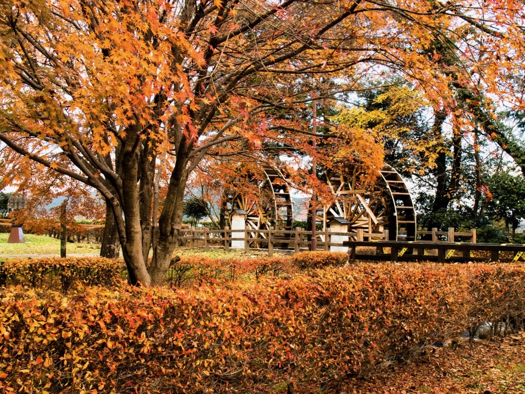 日光杉並木公園　その１