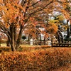 日光杉並木公園　その１