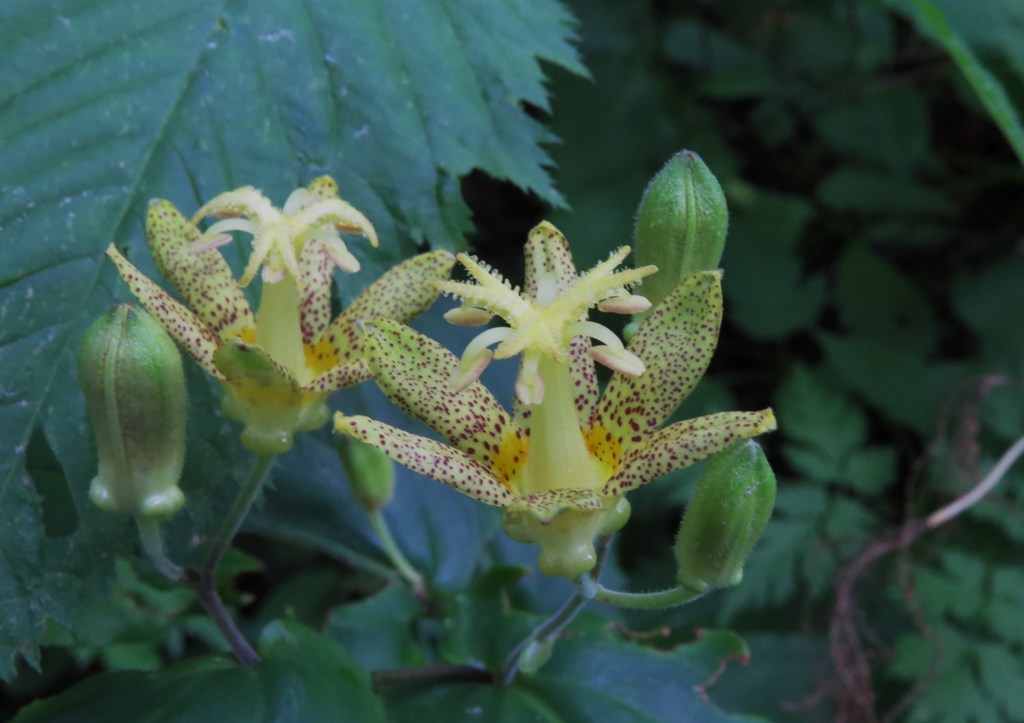 永遠にあなたのもの