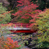 中野神社の紅葉　その６