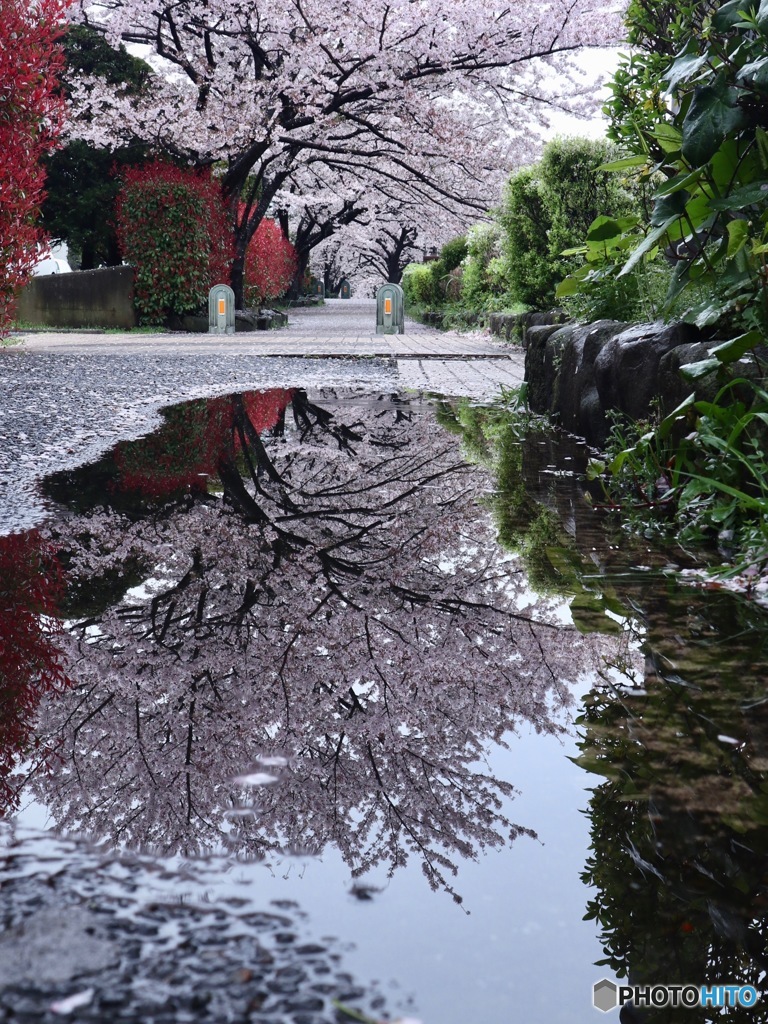 雨降って　
