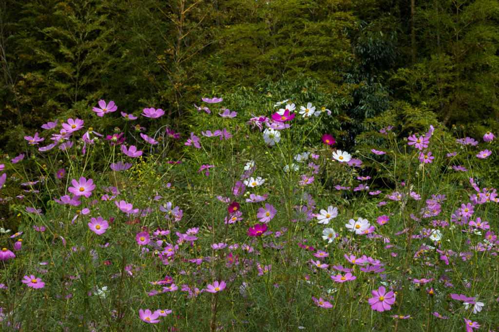 台風を前に　その２