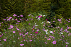 台風を前に　その２