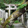 京都旅行拾遺集　その２