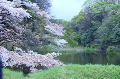 道灌濠　その２
