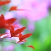 春になっても　その２