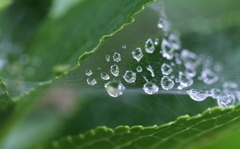 雨後の輝き　その２