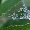 雨後の輝き　その２