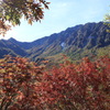 立山黒部アルペンルートの旅　その３