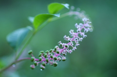 有毒！注意　その１