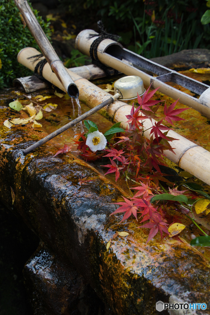 元興寺　手水鉢