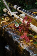 元興寺　手水鉢