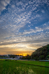 梅雨の合間に