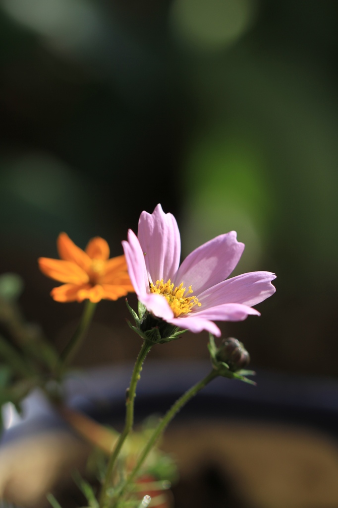 イマドキ！　その１