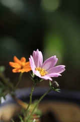 イマドキ！　その１