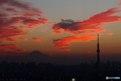 都心夕景　その３